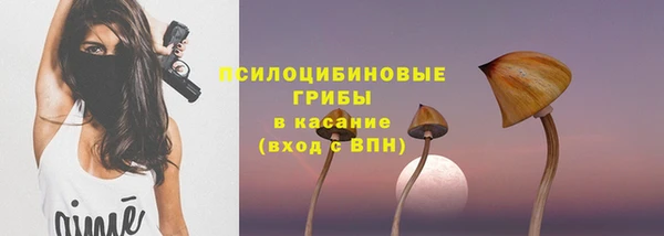 бошки Абаза