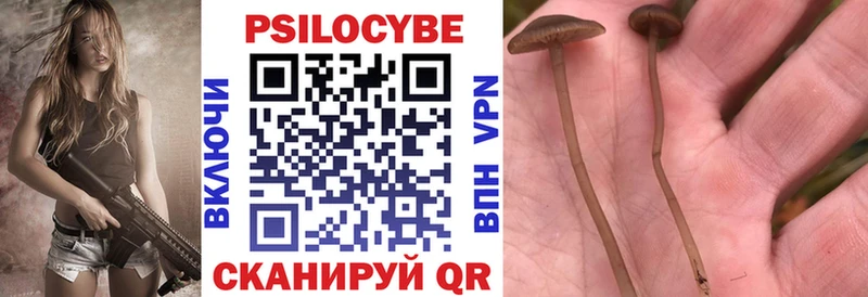 цены наркотик Ирбит mega Псилоцибиновые грибы прущие грибы
