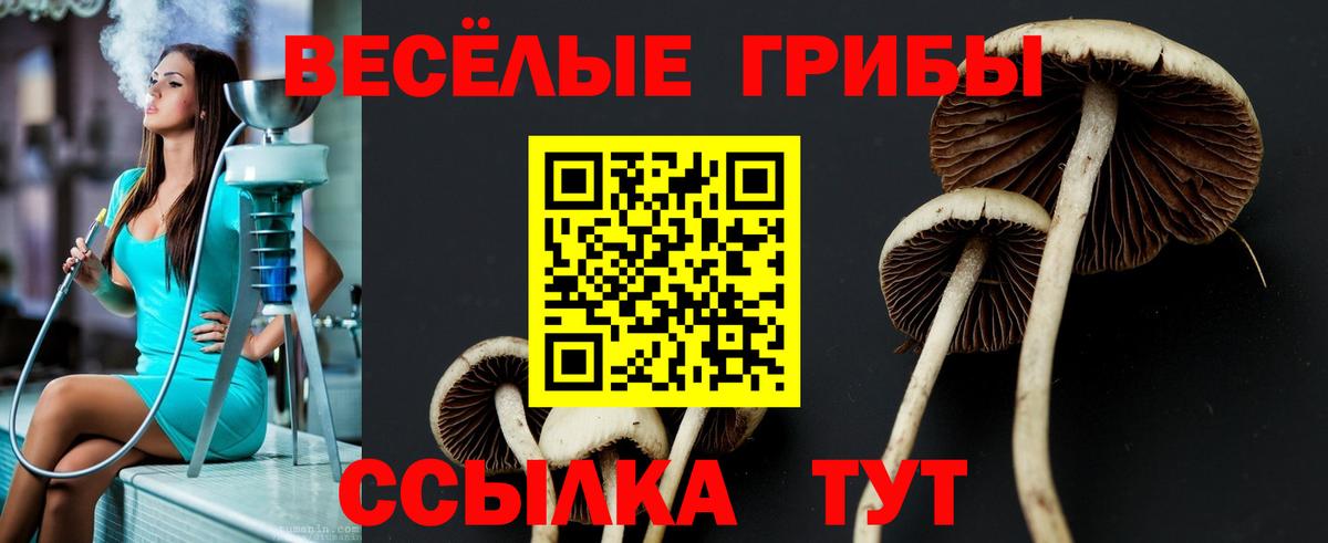 Псилоцибиновые грибы GOLDEN TEACHER  Вход с VPN  Ирбит 